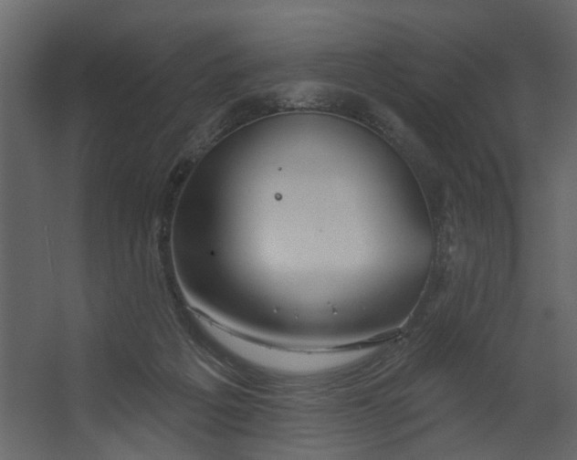X0000067490217200604211707