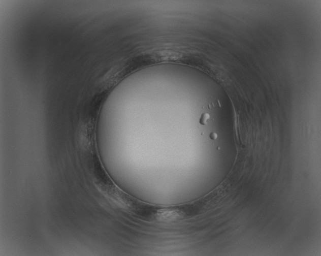 X0000067490218200604211707