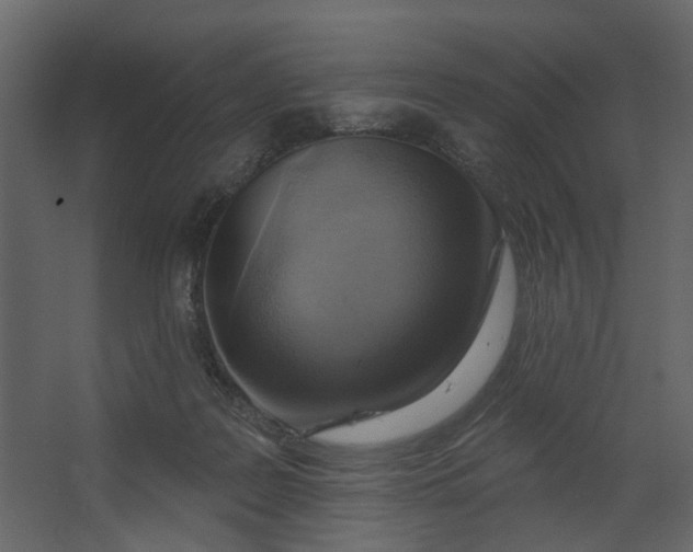 X0000067490219200604211707