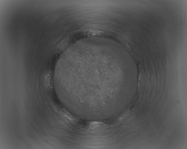 X0000067490222200604211707