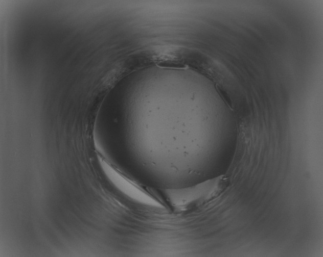 X0000067490223200604211707