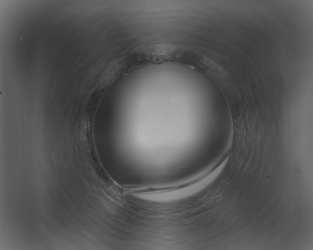 X0000067490225200604211707