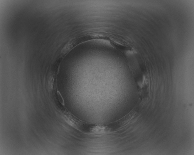X0000067490227200604211707