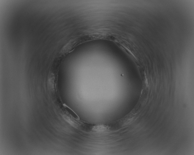 X0000067490231200604211707