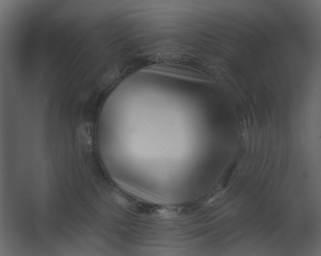 X0000067490232200604211707