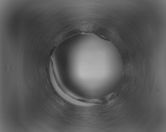 X0000067490233200604211707