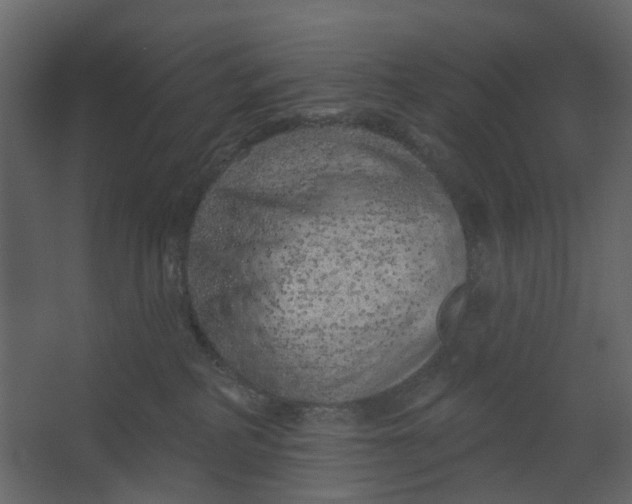 X0000067490234200604211707