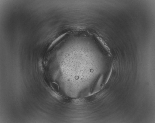 X0000067490238200604211707