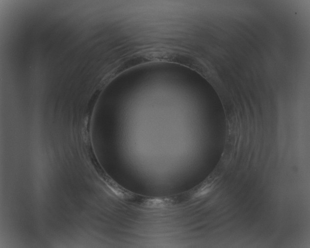 X0000067490239200604211707