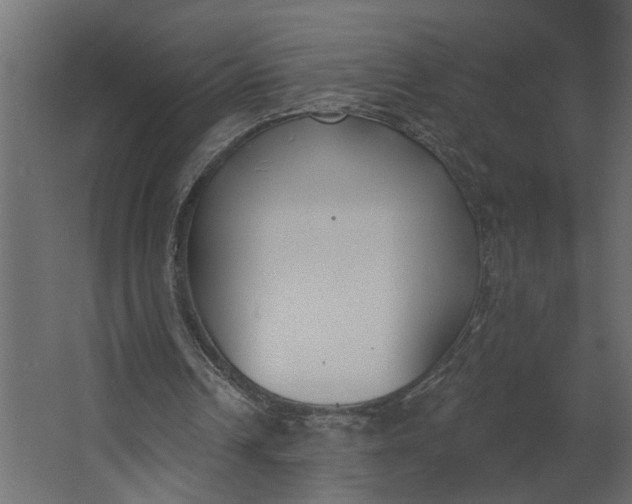 X0000067490242200604211706