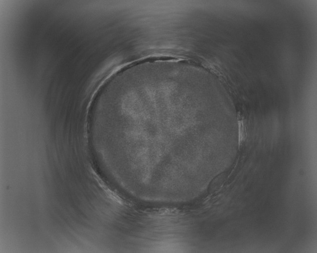 X0000067490243200604211706