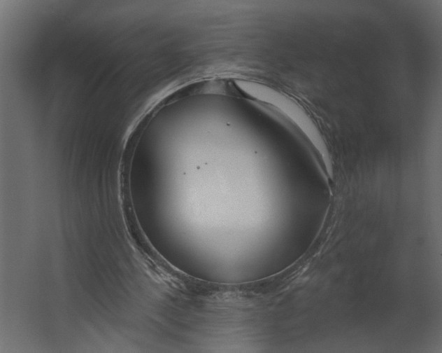 X0000067490244200604211706