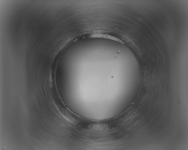 X0000067490251200604211706
