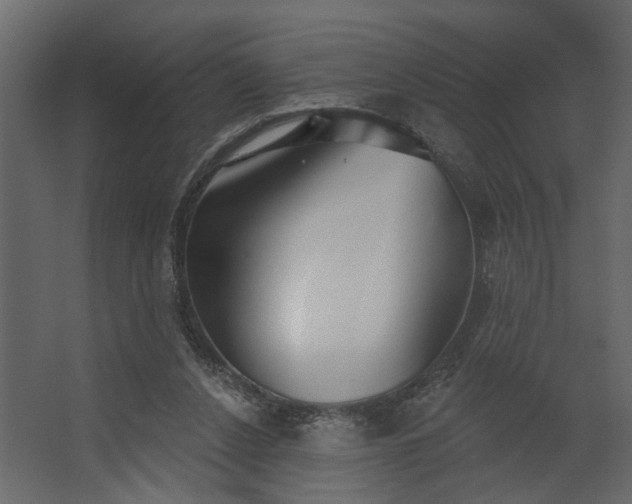 X0000067490256200604211706