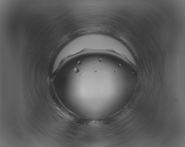 X0000067490261200604211706