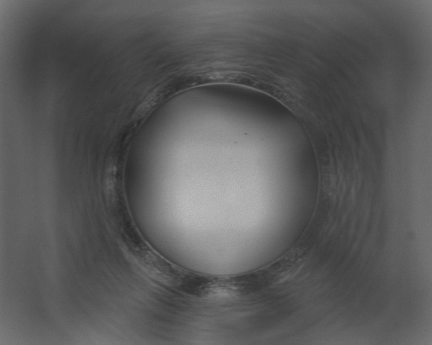 X0000067490263200604211706