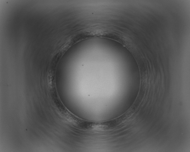 X0000067490268200604211707