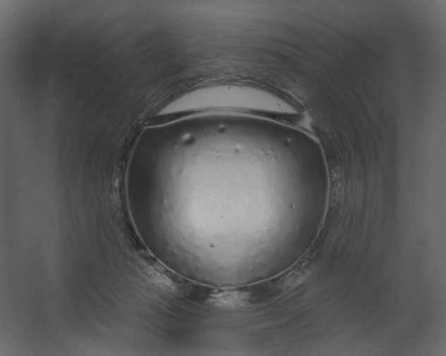 X0000067490269200604211707