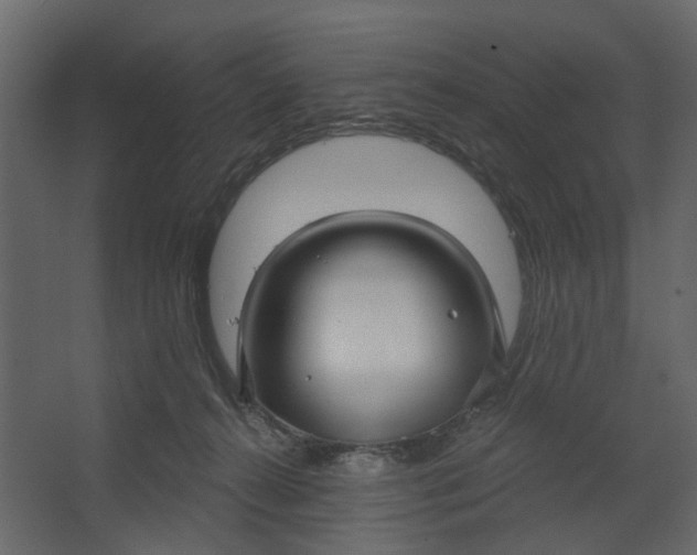 X0000067490272200604211707