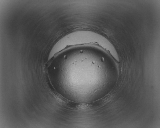 X0000067490273200604211707