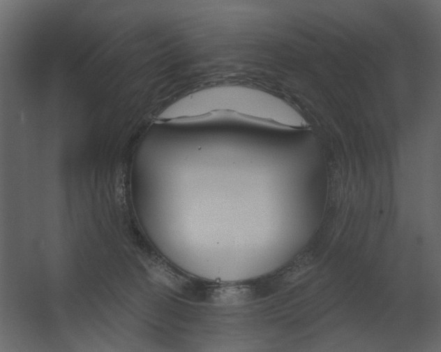 X0000067490274200604211707
