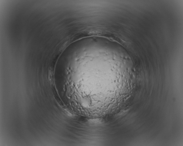 X0000067490281200604211707
