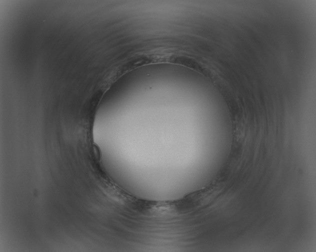 X0000067490283200604211707
