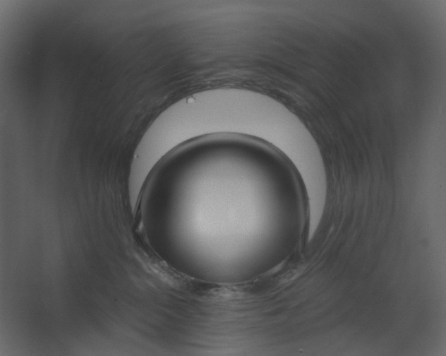 X0000067490284200604211707