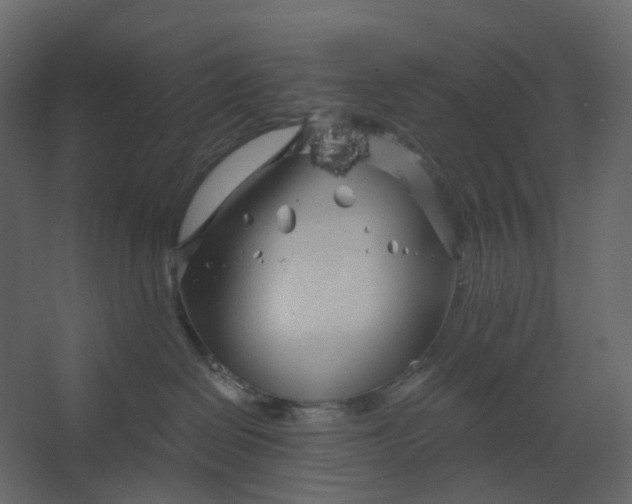 X0000067490286200604211707