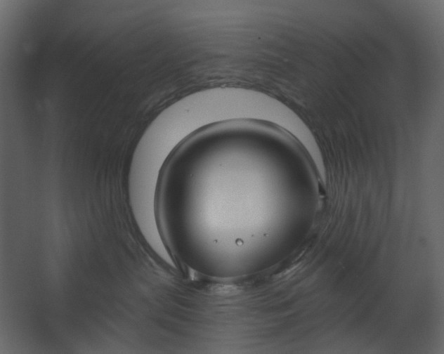 X0000067490287200604211707