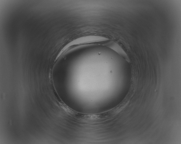 X0000067490288200604211707