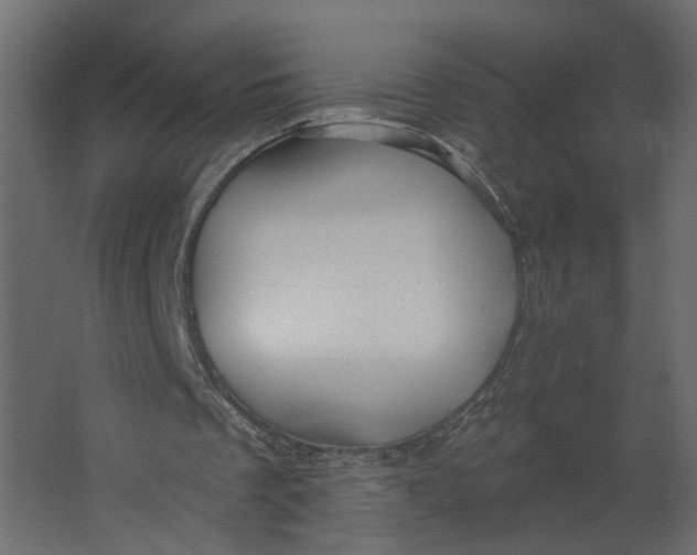 X0000067490289200604211706