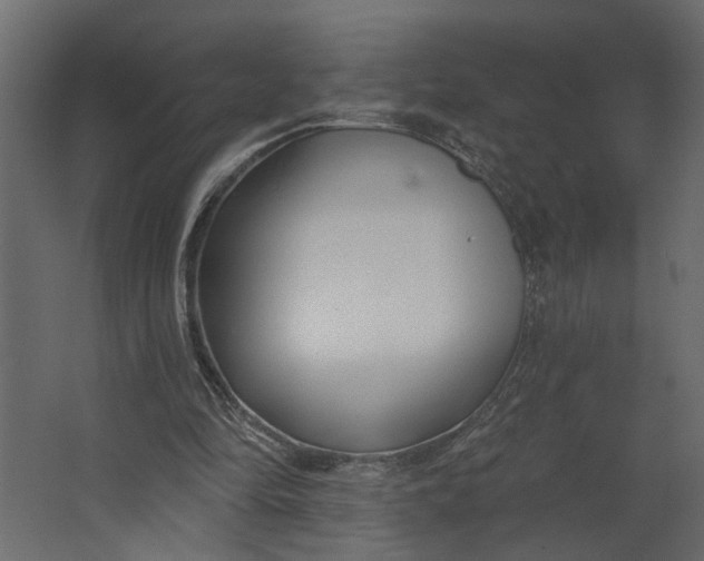 X0000067490294200604211706