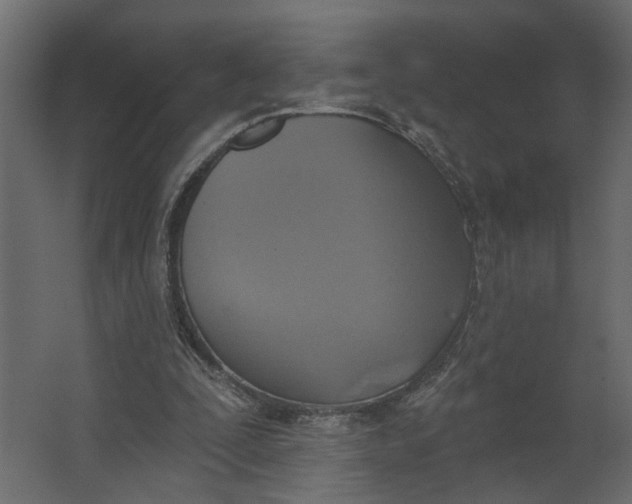 X0000067490295200604211706