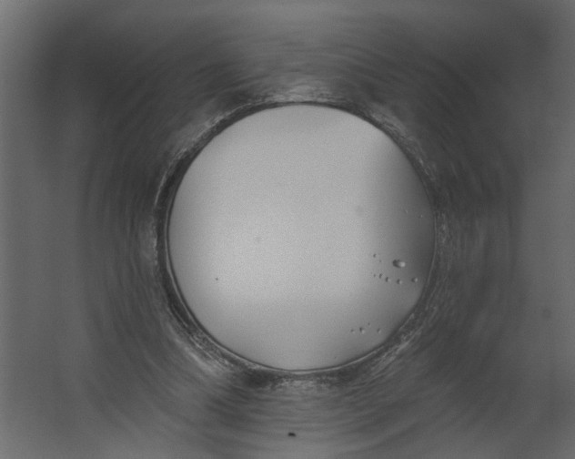 X0000067490298200604211706