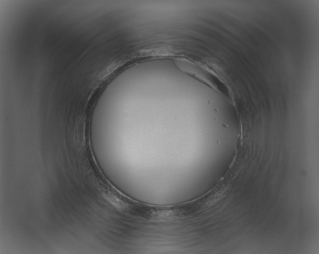 X0000067490301200604211706