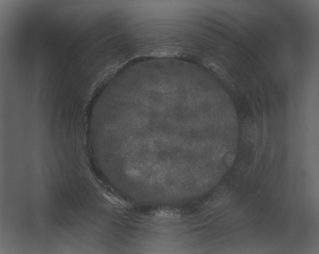X0000067490303200604211706