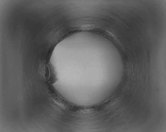 X0000067490307200604211706