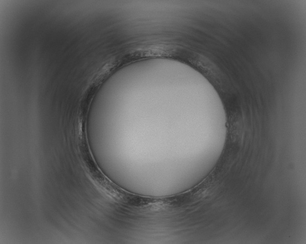 X0000067490310200604211706