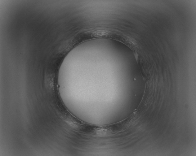 X0000067490315200604211706