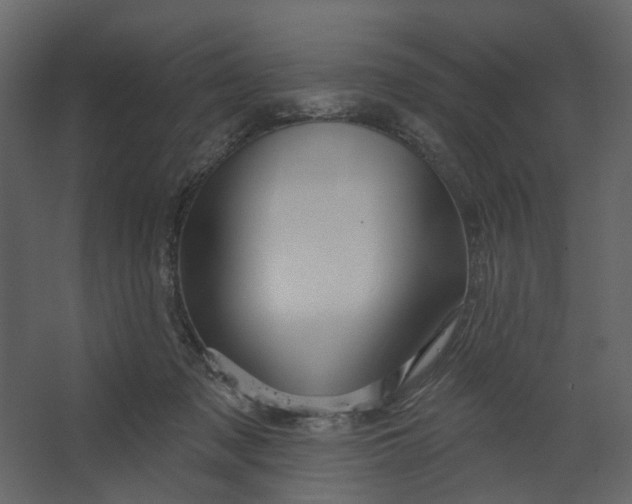X0000067490317200604211706