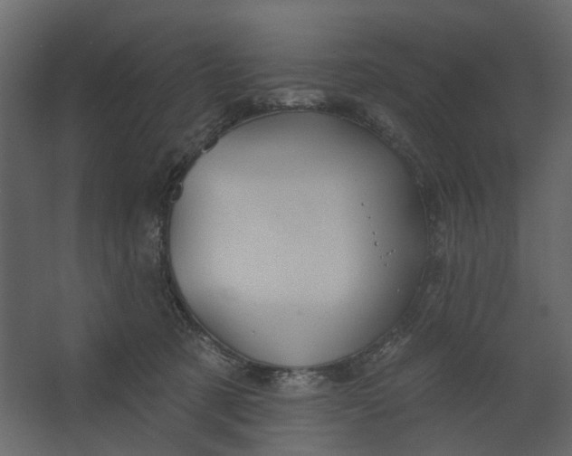 X0000067490321200604211705
