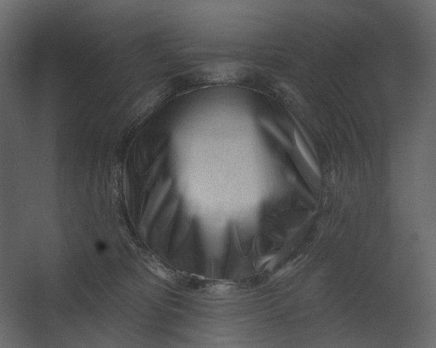 X0000067490325200604211705
