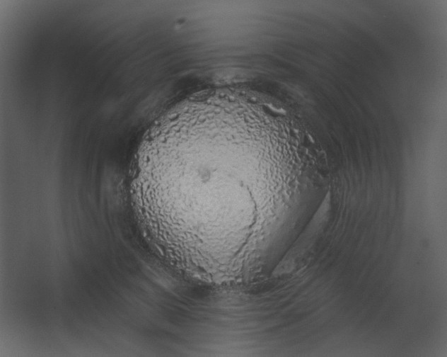 X0000067490327200604211705