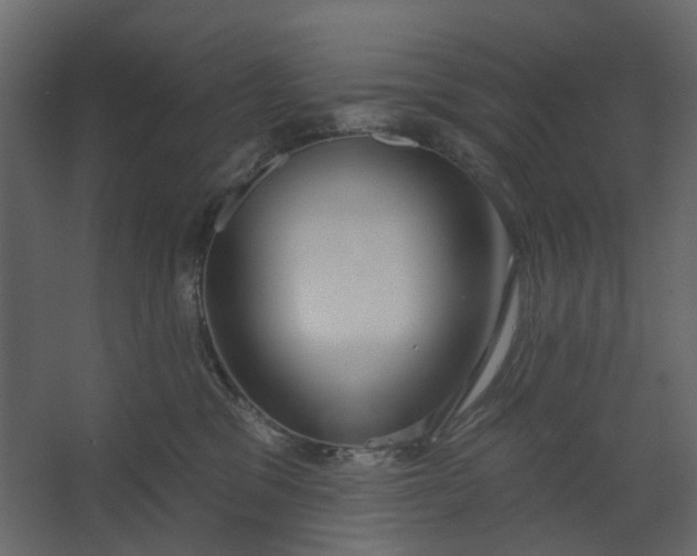 X0000067490329200604211705