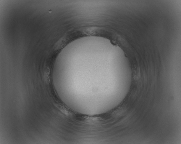 X0000067490332200604211705
