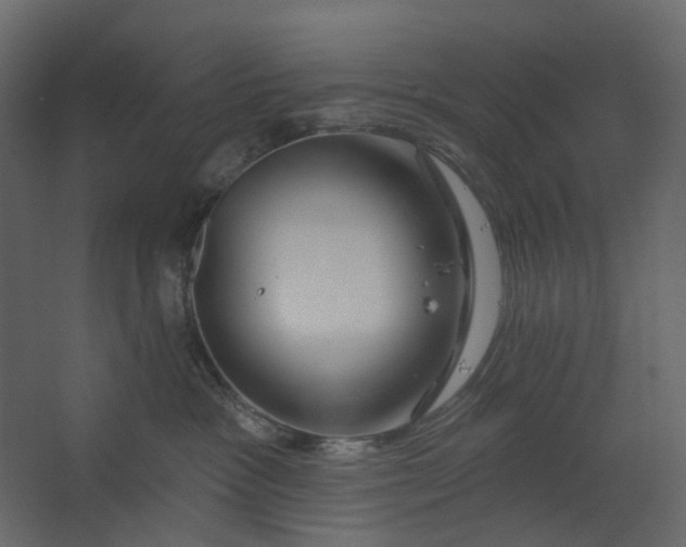 X0000067490333200604211705
