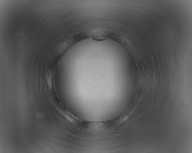 X0000067490334200604211705