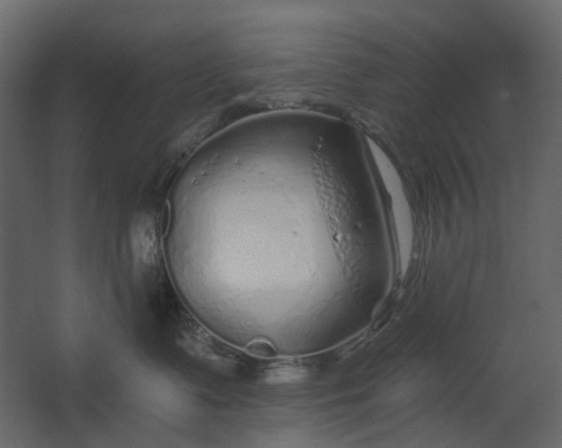 X0000067490335200604211705