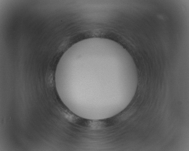X0000067490336200604211705